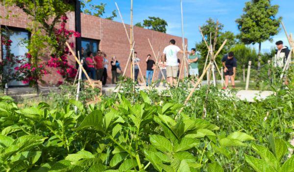 Jornada de treball a l’hort. Cultivant.E