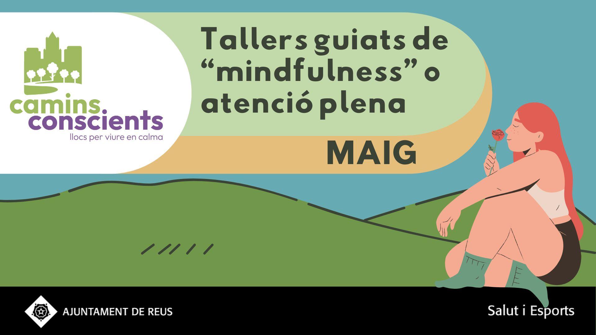CAMINS CONSCIENTSE