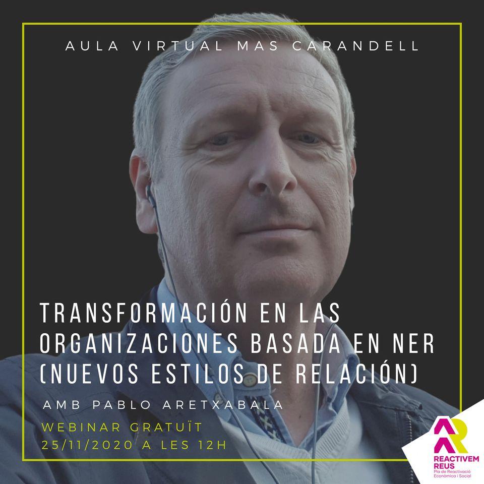 Webinar: Transformación en las organizaciones basada en NER (Nuevos Estilos de Relación)