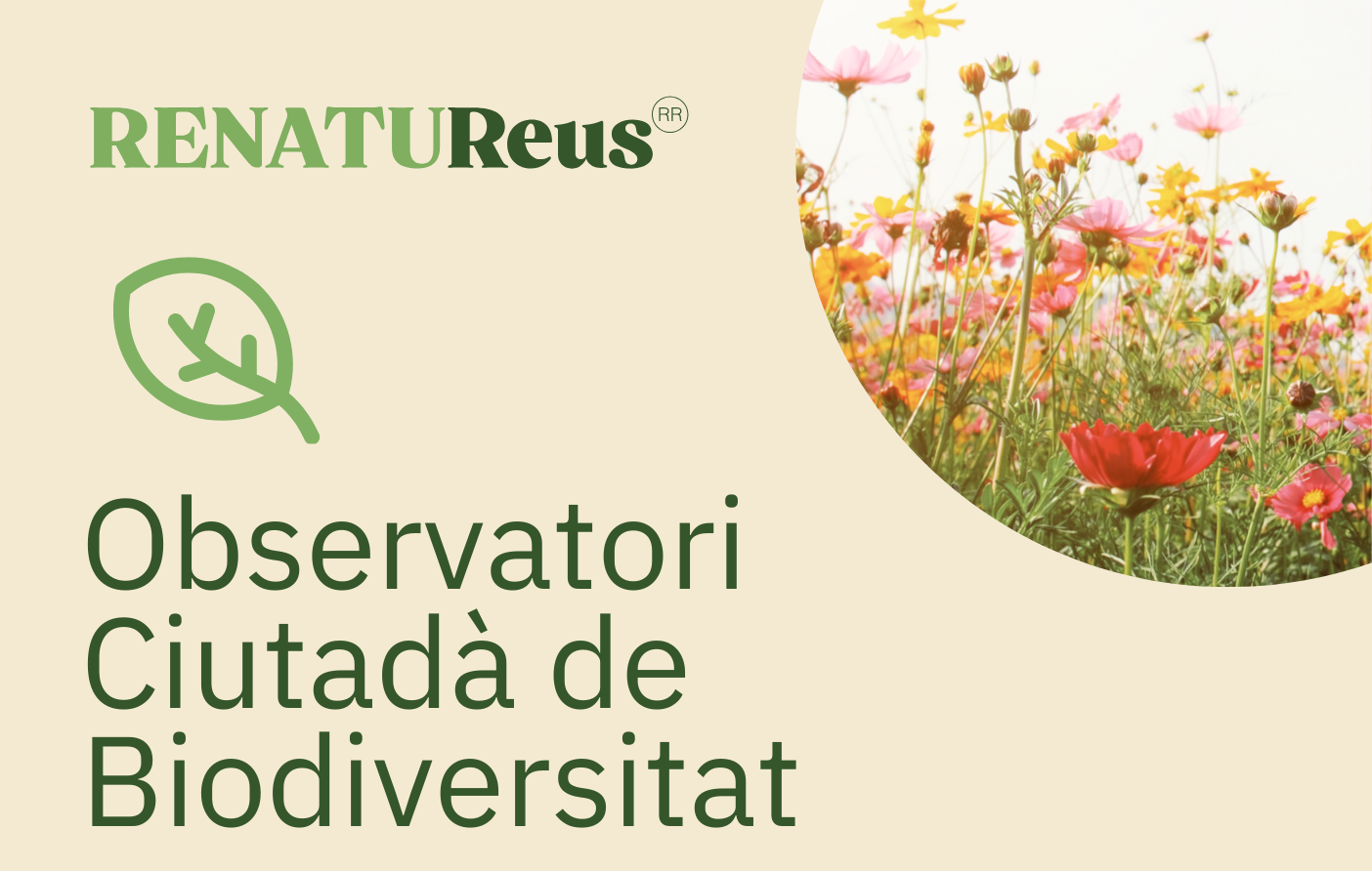 RENATUReus. Sessió de treball de l'Observatori Ciutadà de Biodiversitat