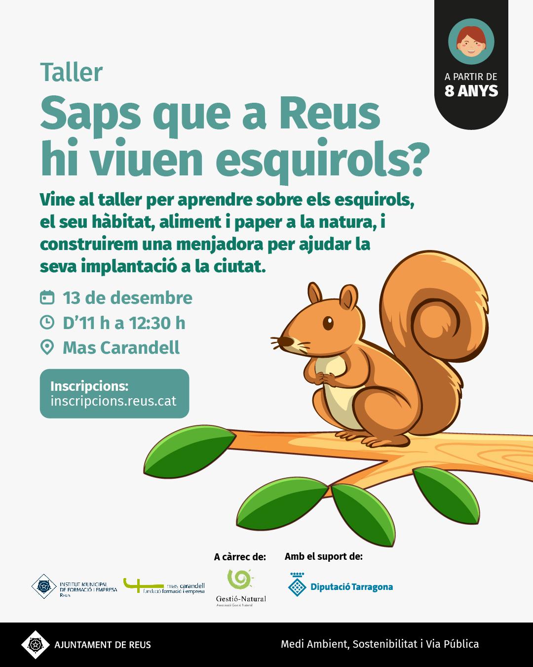 Saps que a Reus hi viuen esquirols?