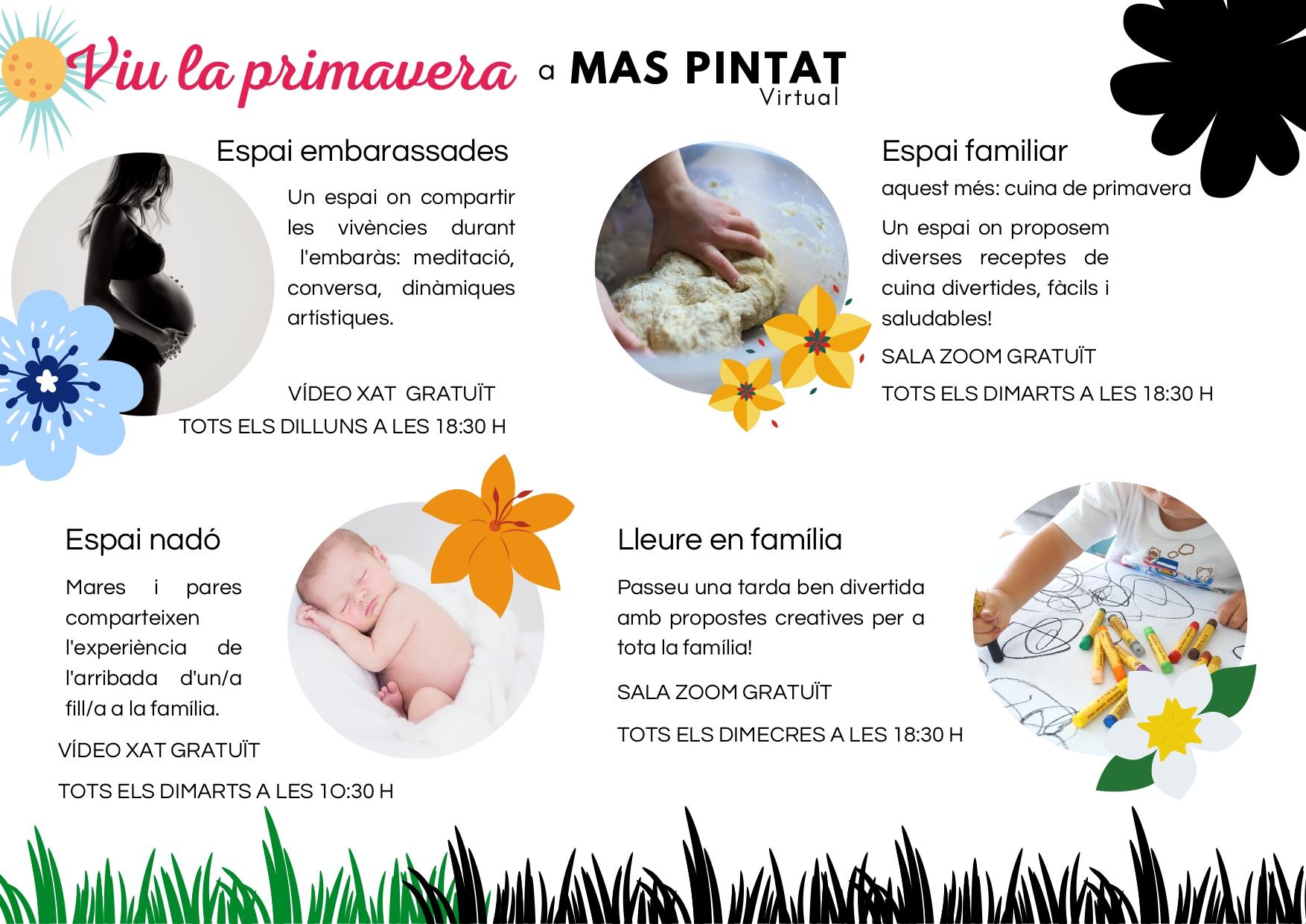 Viu la primavera al Mas Pintat virtual!
