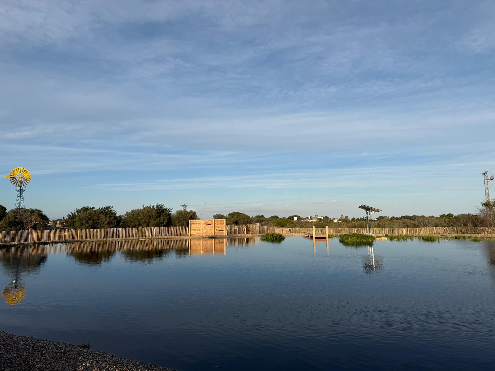 Visita Guiada a les basses del Pedret - ornitològicaE