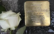 Col·locació de la llamborda