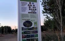 La riera de l'Abeurada