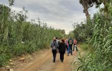 RUTA PER LA RIERA DE L'ABEURADA