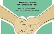 Cartell del Dia del Voluntariat