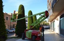 Imatge de treballs de poda recents amb la presència del regidor de Via Pública Hipòlit Monseny