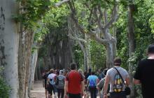 Foto de la caminada