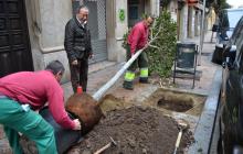 La regidoria de Via Pública inicia un pla per arranjar els escocells en mal estat