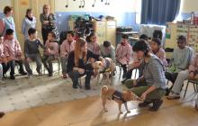 L’Ajuntament porta a les escoles un programa per treballar el respecte i la solidaritat amb gossos ensinistrats