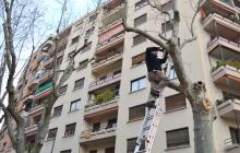 Instal·lació de sistemes sonors de control d’ocells