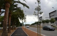 Foto dels nous arbres a l'avinguda de Bellissens