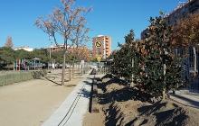 Foto dels arbres plantats al parc del Ferrocarril