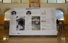 Fotos de l'exposició
