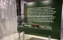 Exposició: 