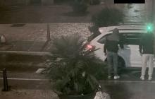 Dos detinguts per robatoris violents a taxistes
