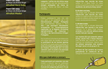 Base premis CDO