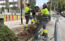 Actuació del Pla Barri a barri a Mare Molas