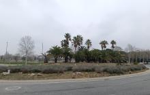 Rotonda avinguda de Riudoms