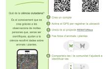 Instruccions per unir-se al bioblitz dedicat als ocells amb l'app iNaturalist