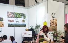 Mas Carandell a la fira d'empreses simulades