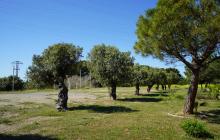 Àmbit del projecte d'una nova àrea de biodiversitat a la zona del barranc de Calderons