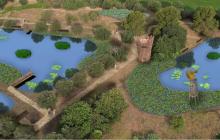 Projecte bassa naturalitzada