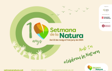 Cartell Setmana de la Cultura