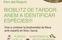 Cartell Bioblitz tardor