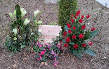 Placa en record de les víctimes de l'Holocaust a Reus