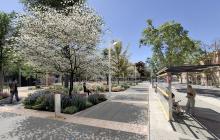 Projecte de reurbanització de la zona verda davant la Biblioteca Central Xavier Amorós. Signar: GYS ARQUITECTURA