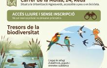 Cartell visita Basses del Pedret