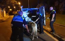 Ponis localitzats per la Guàrdia Urbana a la via pública