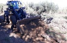 Treballs arranjament camins afectats per llevantada