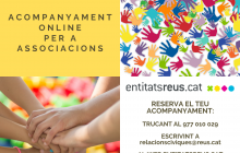 Acompanyament Oline relacions cíviques