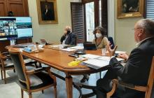 Ple telemàtic