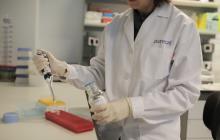 Nutrisalt investigadora