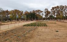 Plantació de jardineria al Parc de les Olors de la Boca de la Mina
