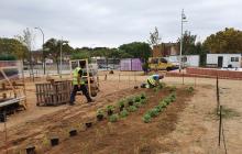 Plantació de jardineria al Parc de les Olors de la Boca de la Mina