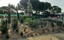 Zona enjardinada a l'accés de la urbanització Blancafort