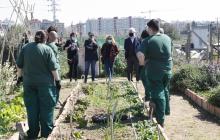 Visita als horts urbans del barri Sol i Vista