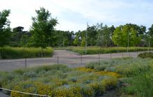 Parc de les Olors del passeig de la Boca de la Mina