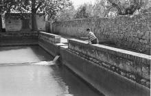 La Bassa Nova 1956.F. Estanis Pedrola (Arxiu familia Pedrola)