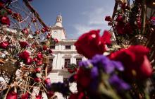Roses de Reus
