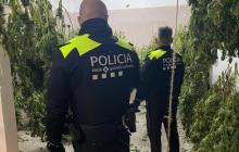 Comís marihuana barri Gaudí