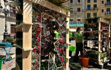 Roses de Reus 2023