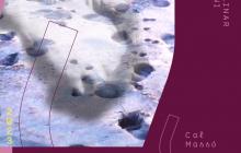Cartell Paradigmes Introscòpic