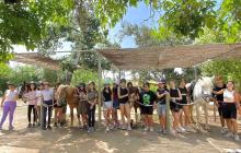 Activitats estiu 2023 Joventut