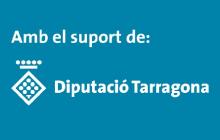 suport_subv_v_col_neg_copia_petit.jpg
